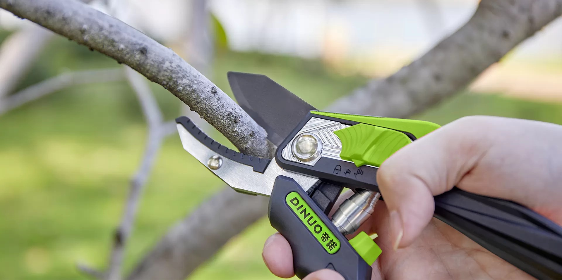 20 Años<br/>De Experiencia